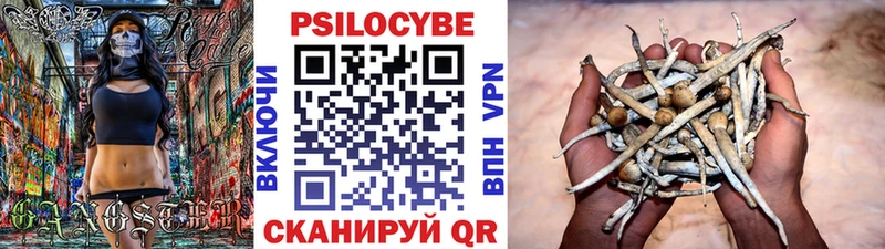 Галлюциногенные грибы Psilocybine cubensis  kraken как войти  Черноголовка 