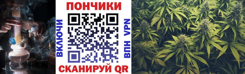 купить наркоту  Черноголовка  Бошки Шишки планчик 